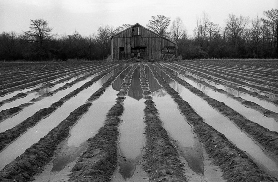 Mississippi Mud